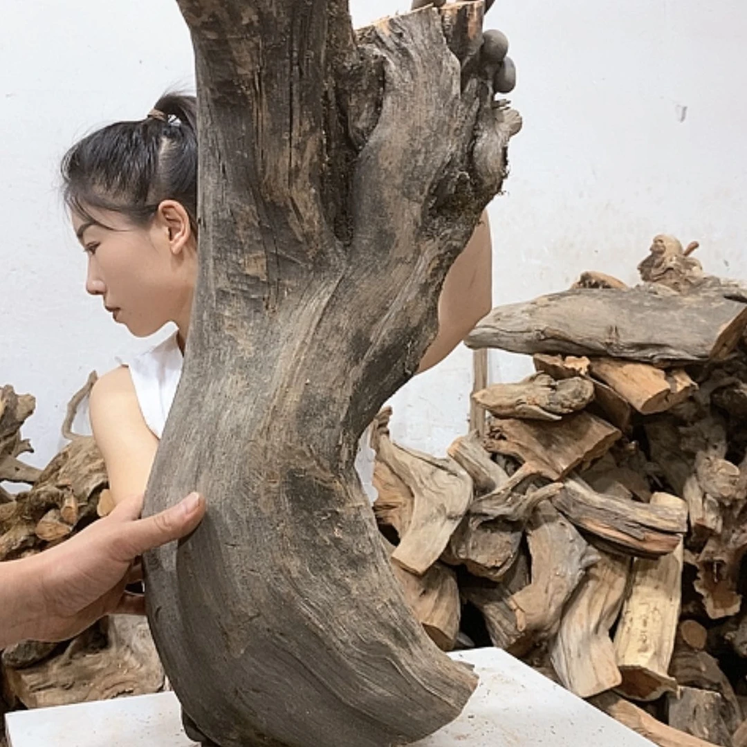 【闪购商品】柏木光*哥我们都是好孩子啊