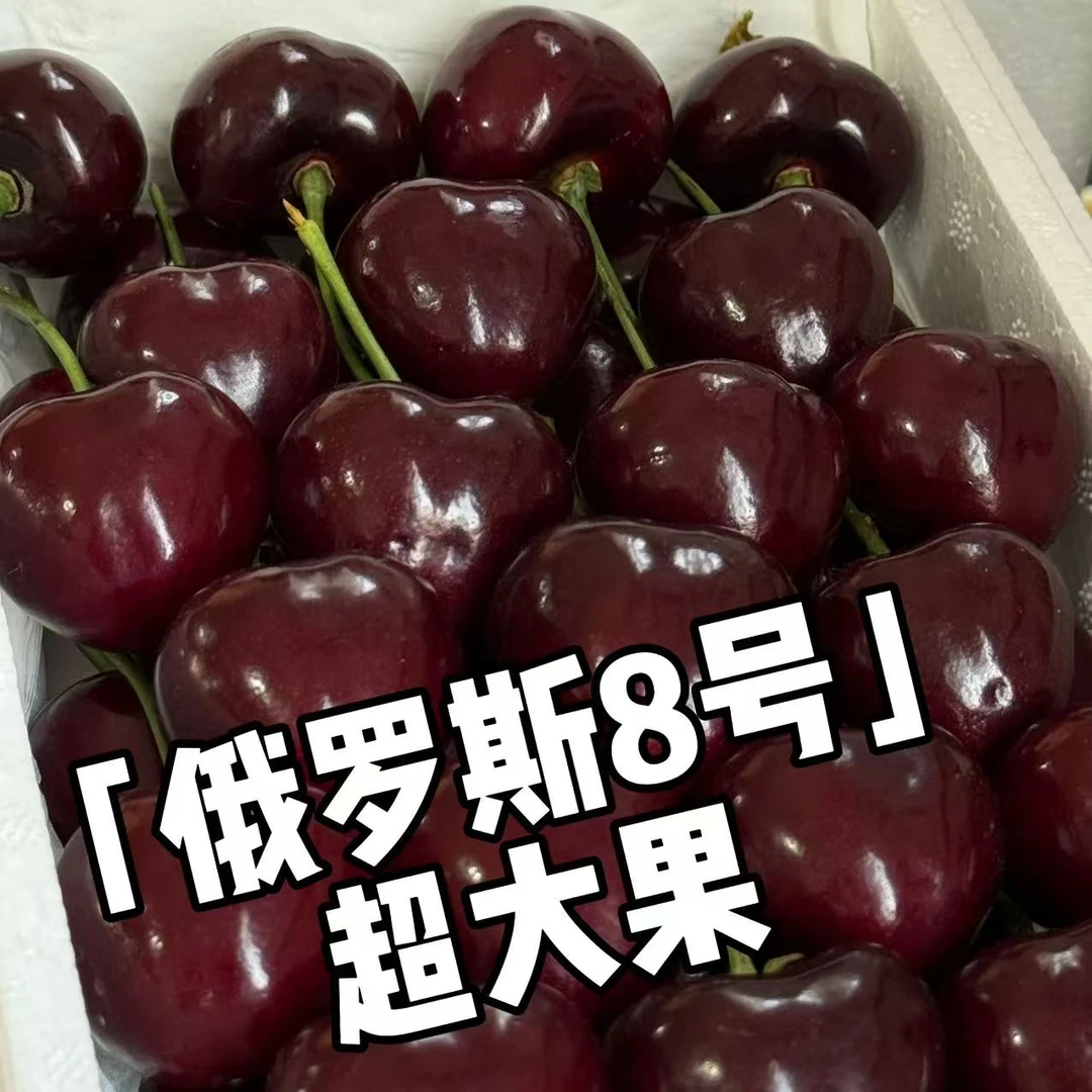【纯俄8】3斤装尝鲜超大果15g-20g 4J-6J大连樱桃新鲜现摘空运直达