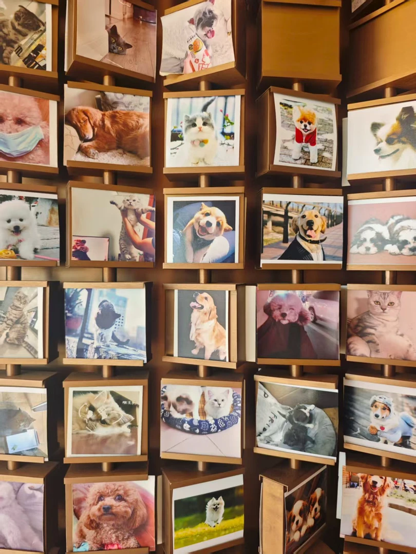手工定制狗狗相框创意个性纪念照片摆台