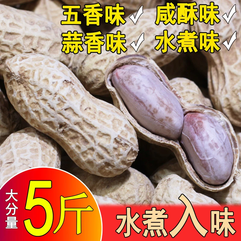 24年蒜龙岩花生湿水煮干晒咸白新香五香带壳烤盐水炒货零食熟批发
