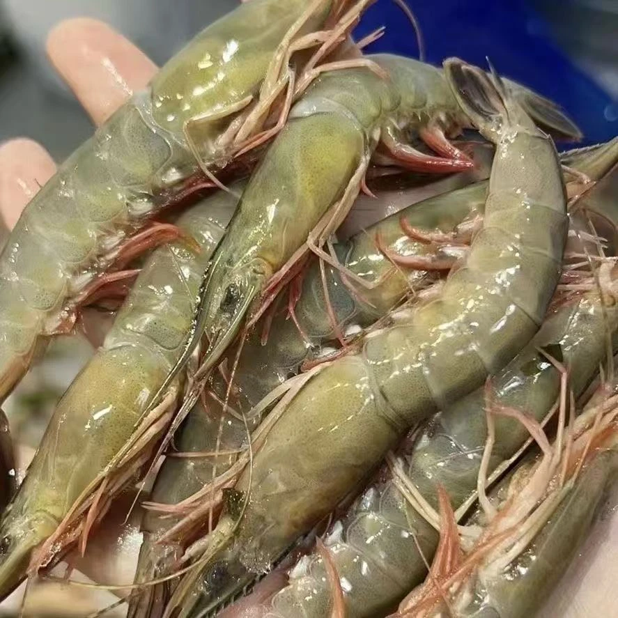 3斤到手6盒【250克1盒】广东青壳滑皮虾剑虾海捕1斤30-35条
