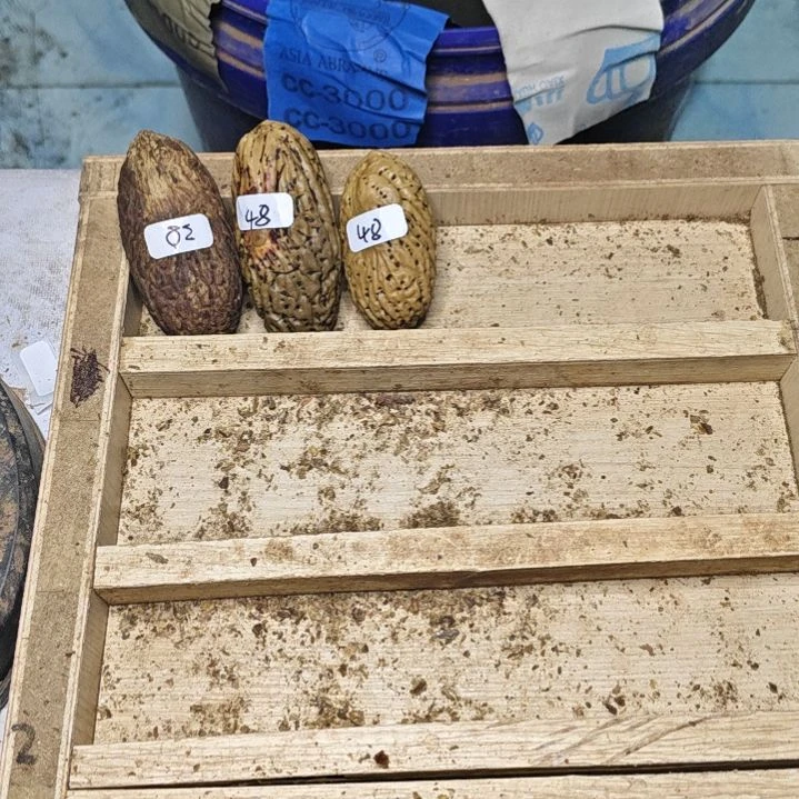 千眼菩提吊坠灵**雨