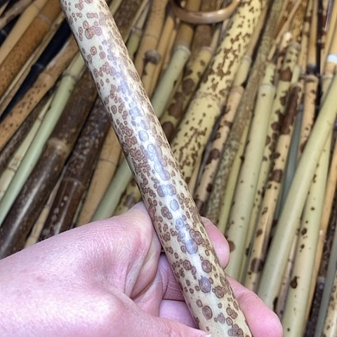 磁*精美梅鹿一节起拍