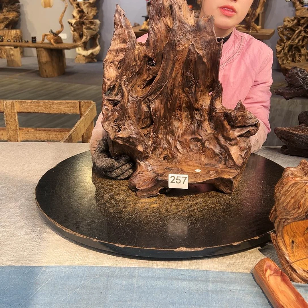 木圣****美257ggggggggggggg