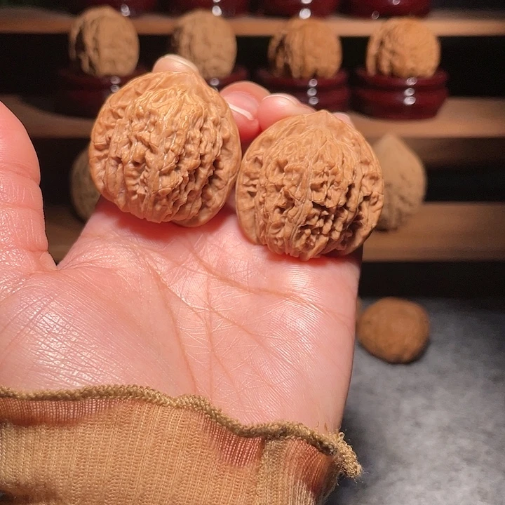 狮子楼全品油蜡皮35