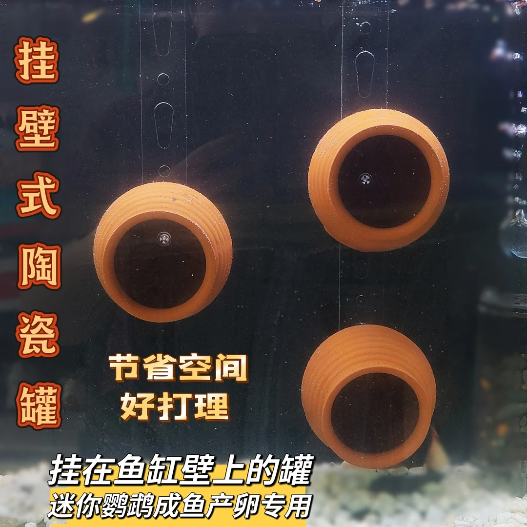 悬浮罐，悬空繁殖罐，迷你鹦鹉鱼必备繁殖神器