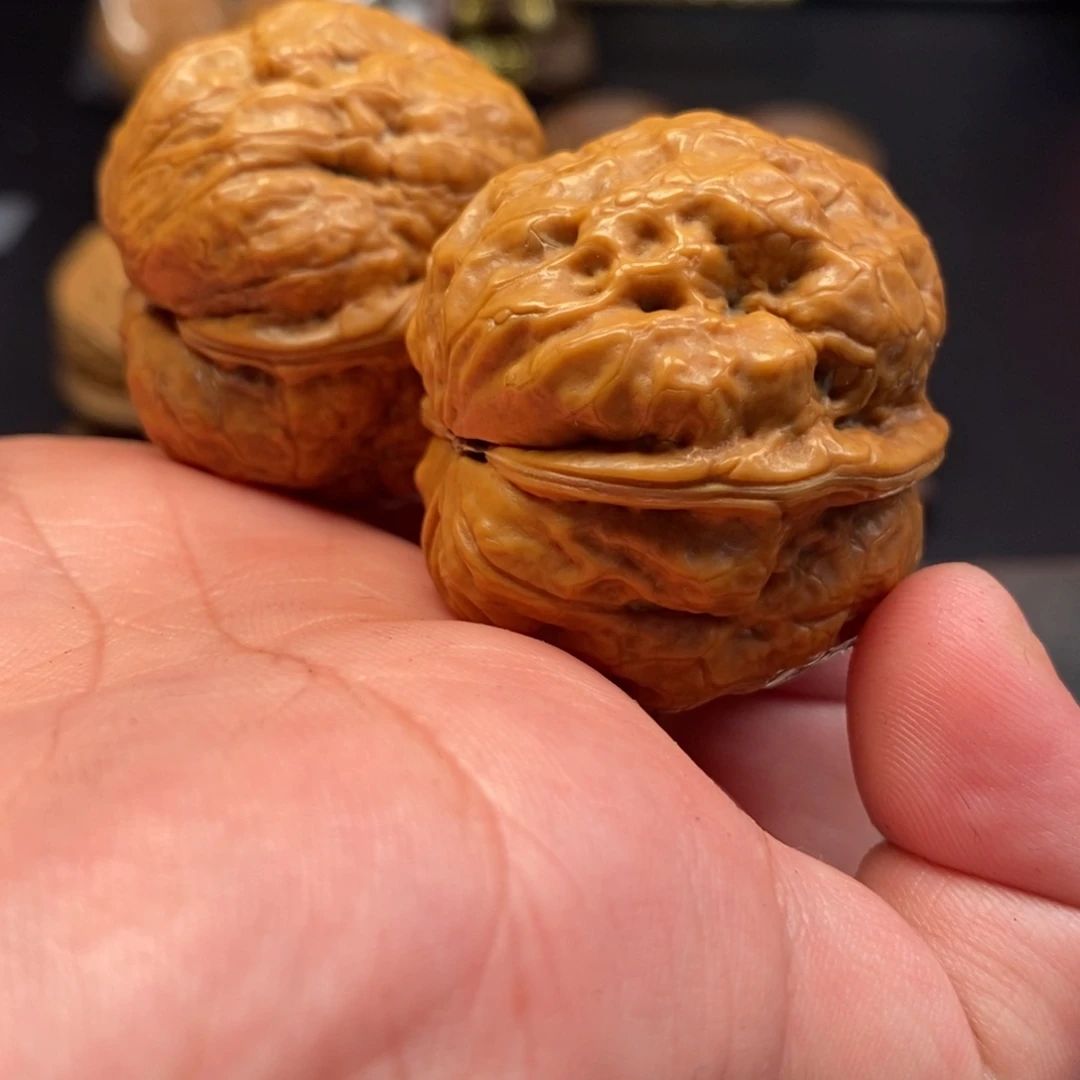 小***周把件文玩核桃老树金蝉