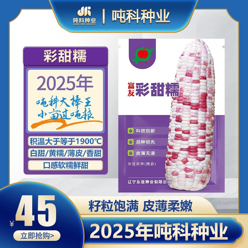 彩甜糯黏玉米种子