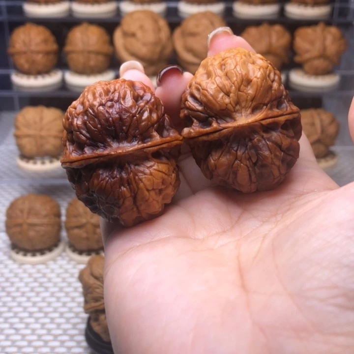 文玩核桃把件40号老招财41➕尺