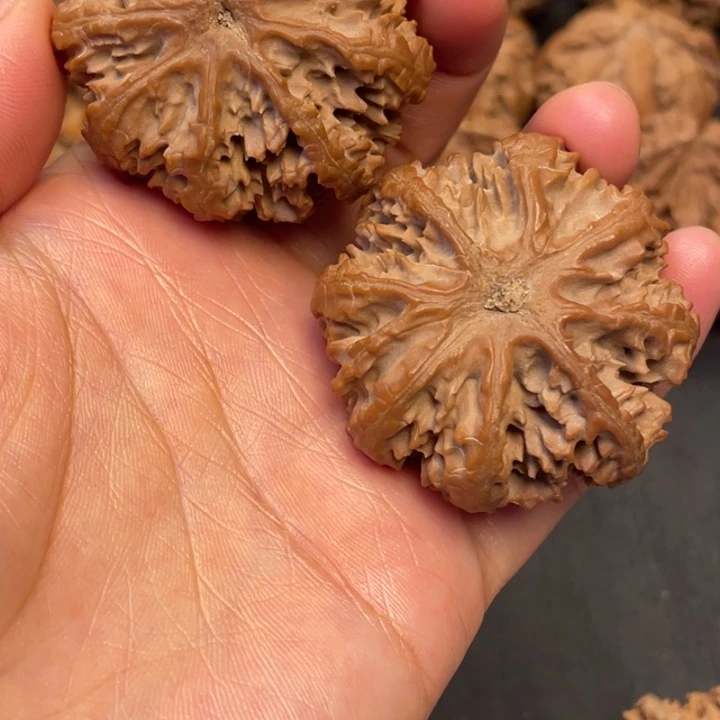 讓***蕶吊坠文玩核桃突突突突突突突突突