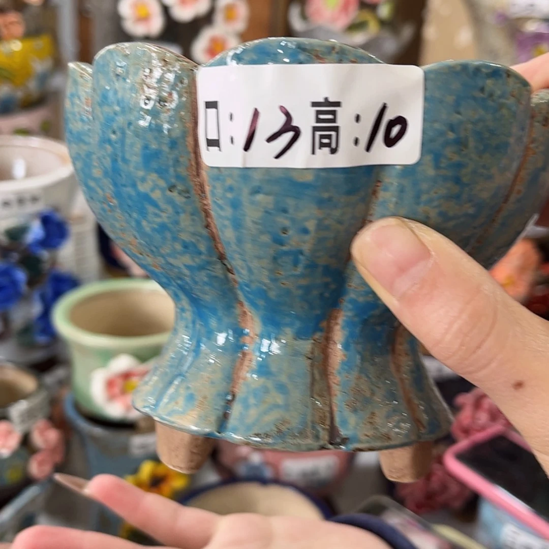 【闪购商品】红陶福利