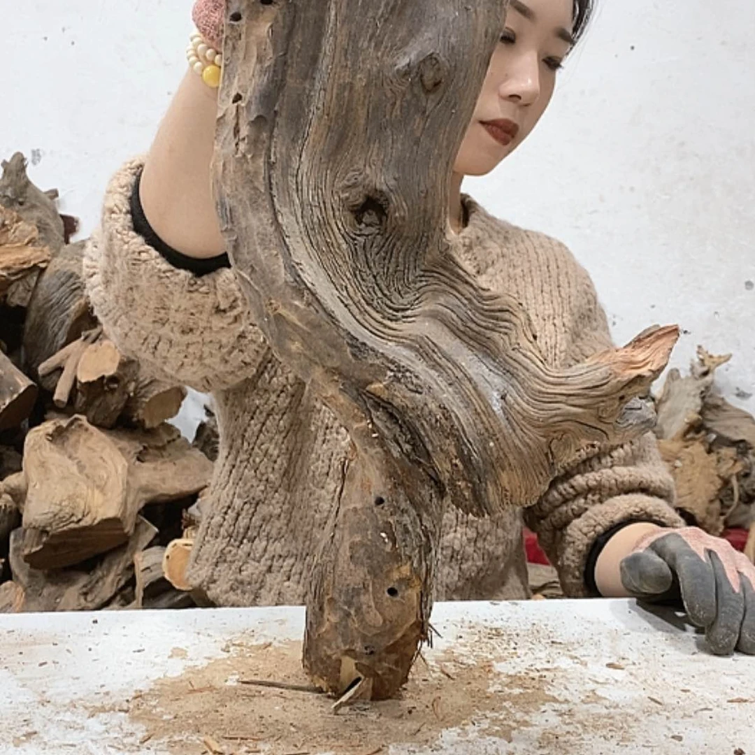 【闪购商品】柏木游**生我们都是好孩子