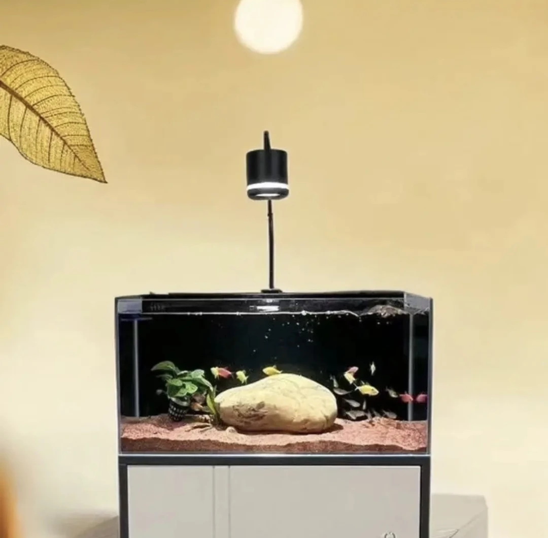 （背滤鱼缸带鱼缸架豪华款）新款背滤超白玻璃干湿分离桌面一体缸