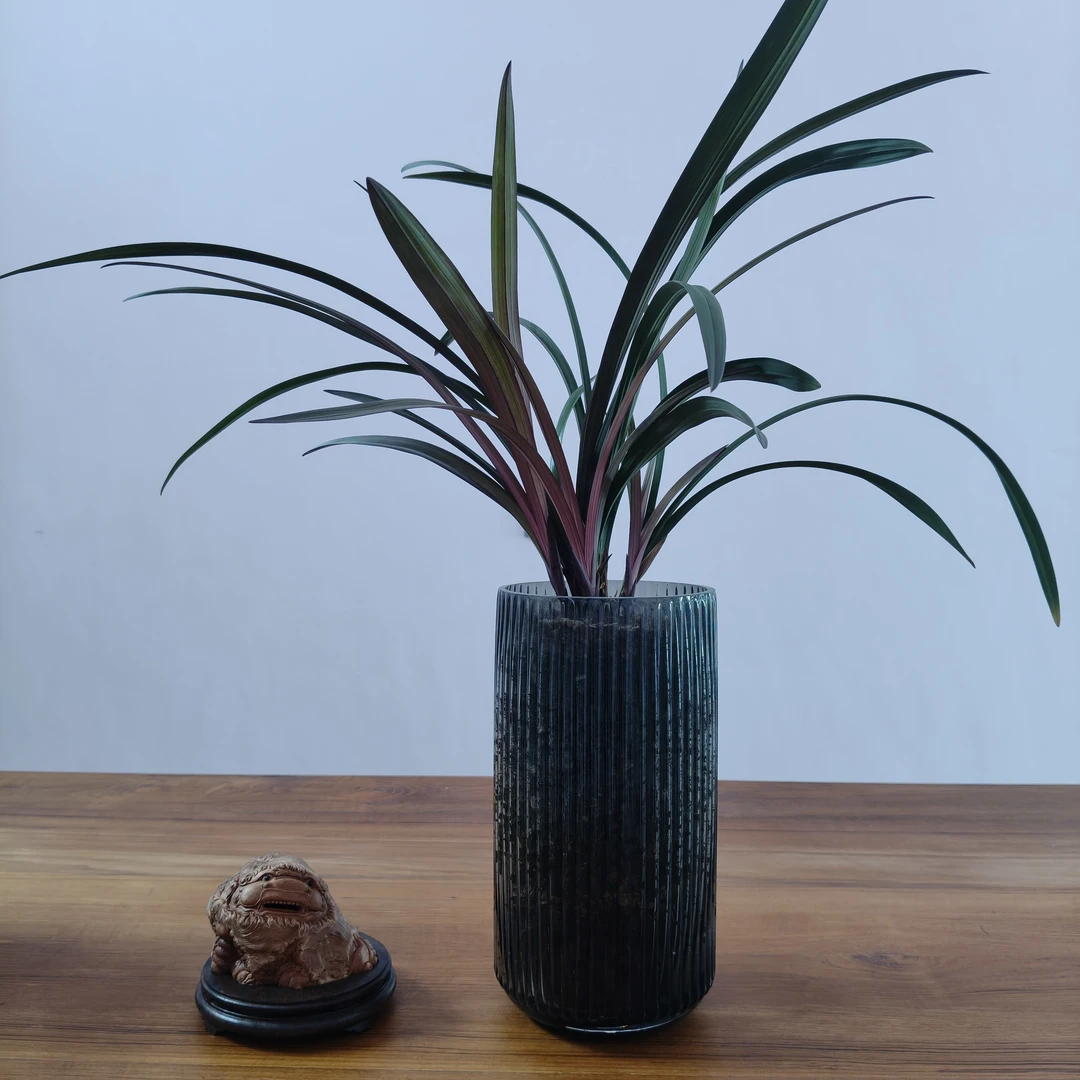 商品链接1号 花盆