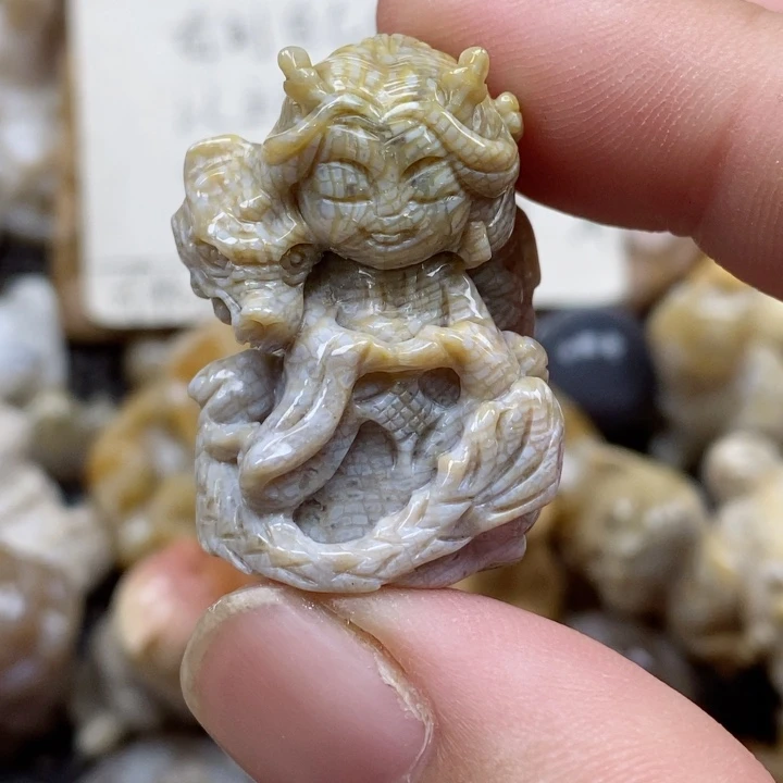 颈饰未镶嵌硅化珊瑚（珊瑚玉）