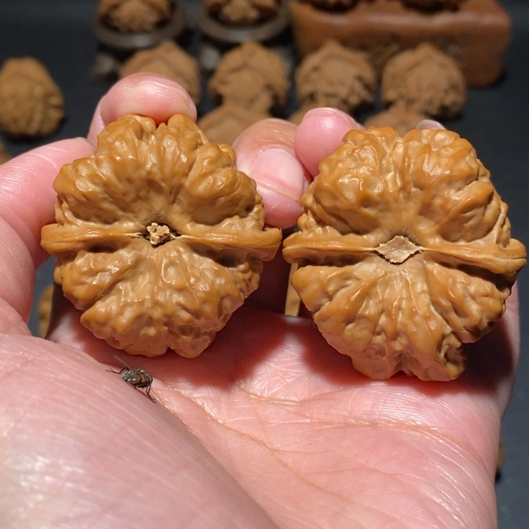 周***.文玩核桃把件蛤蟆