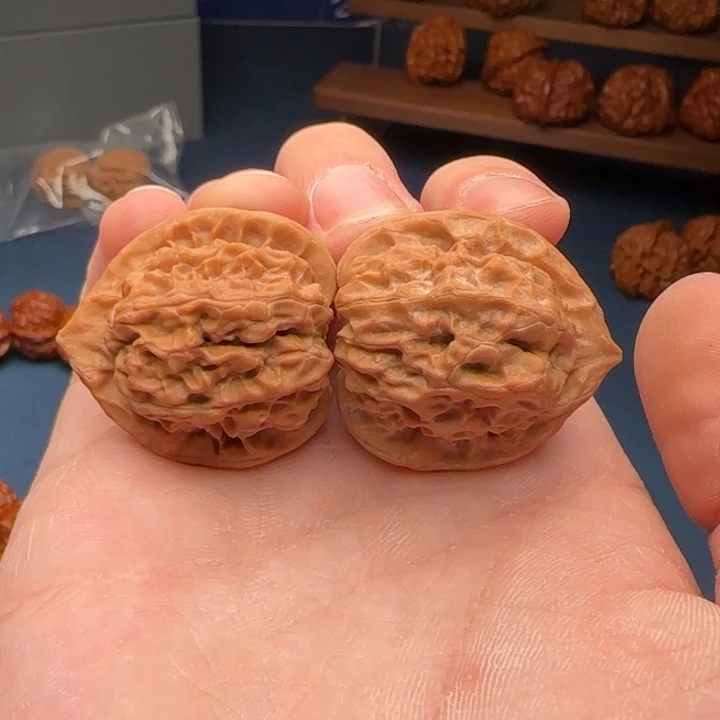 L32-33-34蓟县火桃C31号