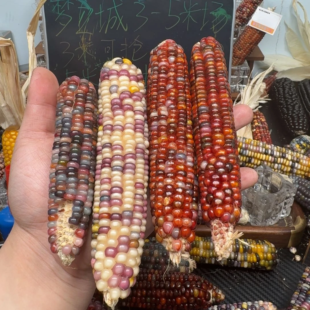 柏香籽/百香籽吊坠@**子