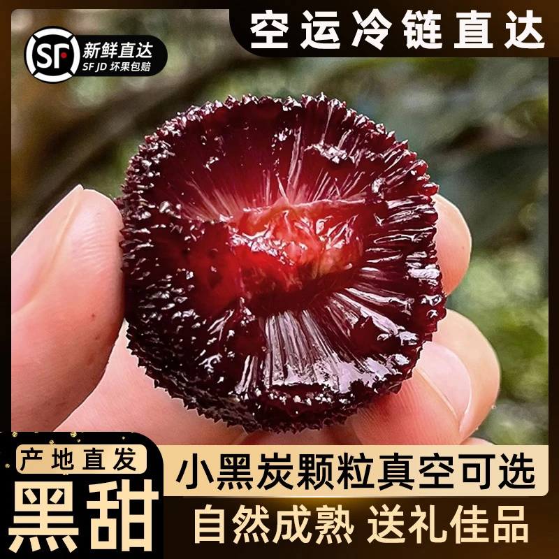 顺丰仙居荸荠杨梅8-15g新鲜现摘黑炭梅水果现摘现发