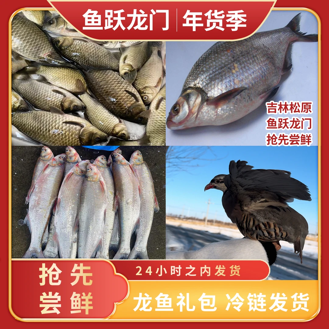 查鱼干鱼跃龙门大礼包（飞龙两只、鲫鱼两条、白鱼四条、鳊花一条）