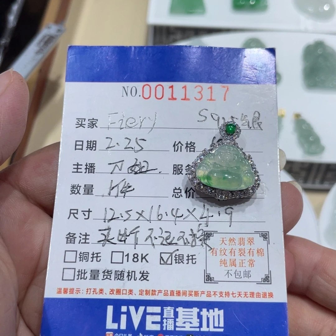 翡翠颈饰银S925镶嵌F***y翡翠