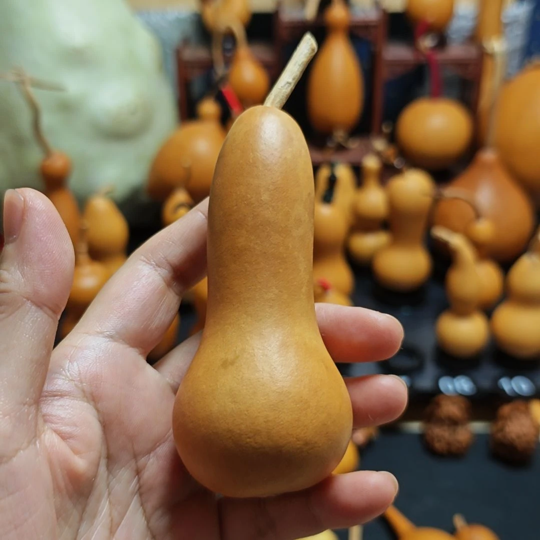 看***雨直播间链接葫芦葫芦