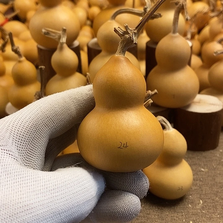 文玩葫芦 完美主义者 慎拍24