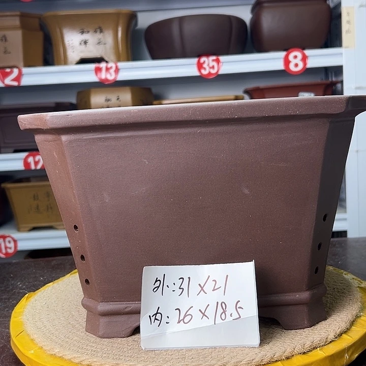 紫砂花盆蛇年大吉