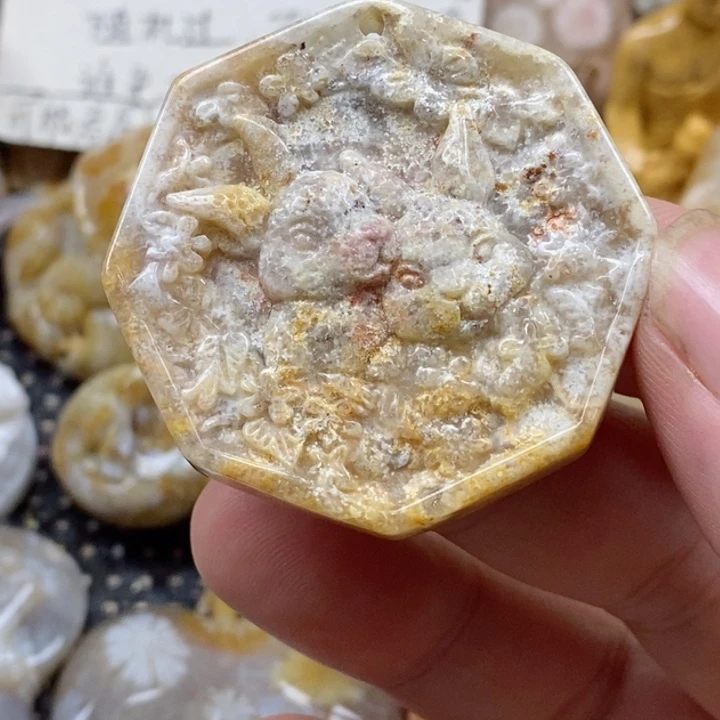 颈饰未镶嵌硅化珊瑚（珊瑚玉）有瑕