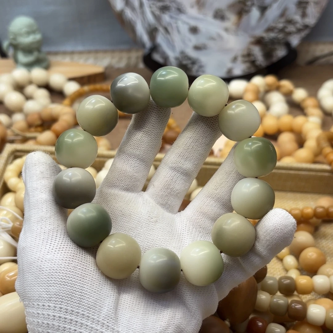 菩提根/象牙果吊坠20干磨瑕疵落地果183