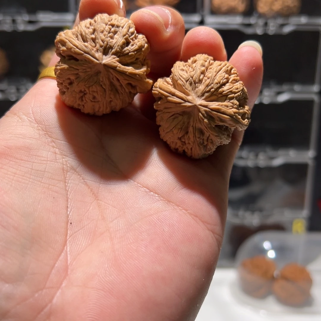 核桃把件Y****Y粗筋  福利不退换