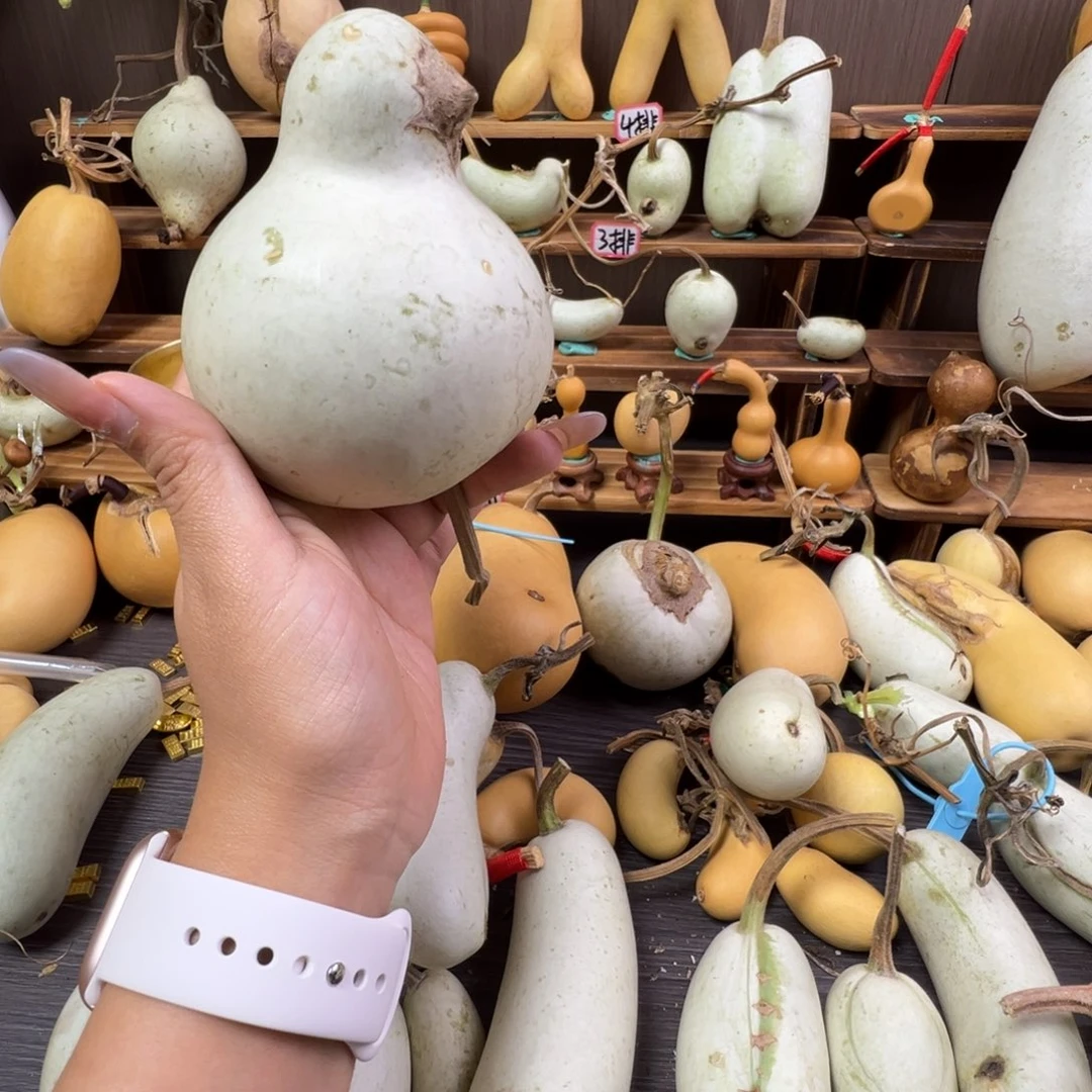 不***茫懂了吧你懂了吗我的宝你是最好最棒的宝你就是最