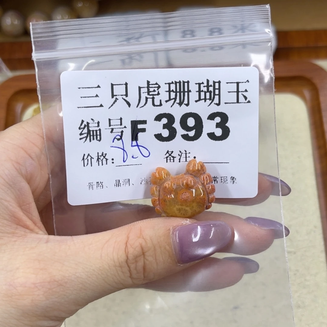 小***鱼未镶嵌h硅化珊瑚（珊瑚玉）