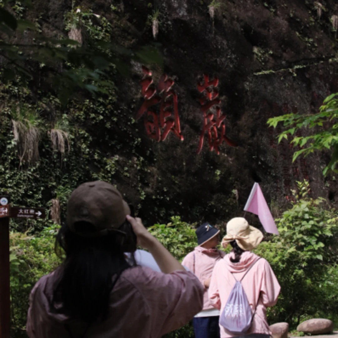 2024武夷山正岩标准马头岩肉桂大红袍礼盒装