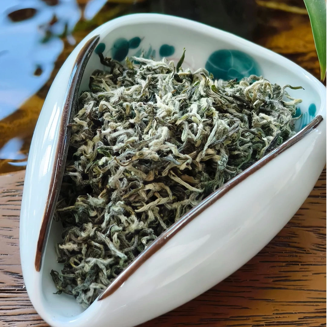 【D49】珍品都匀毛尖绿茶云雾鸟王种贡茶雨前春茶板栗香
