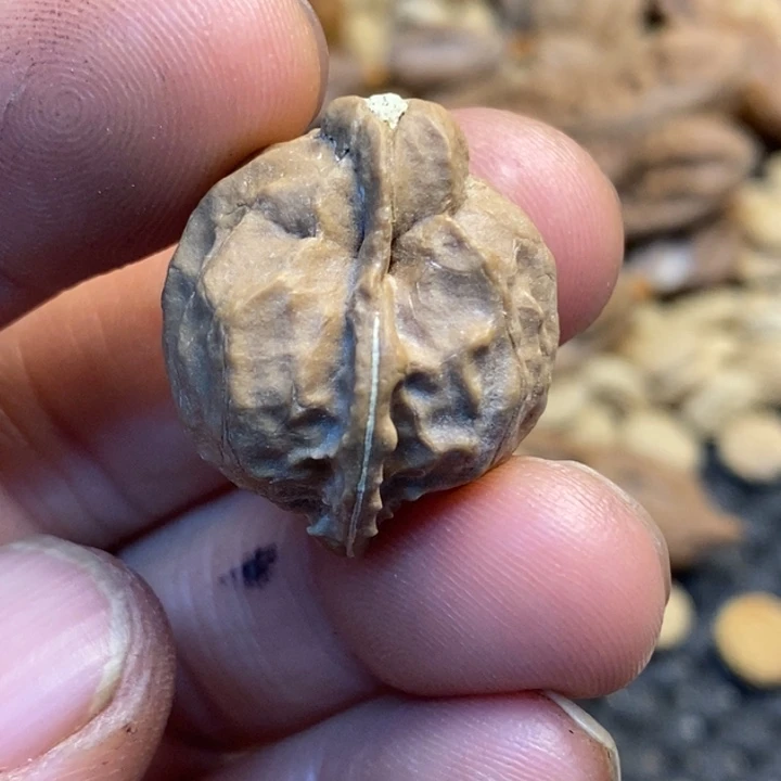 文玩核桃吊坠娜姐56