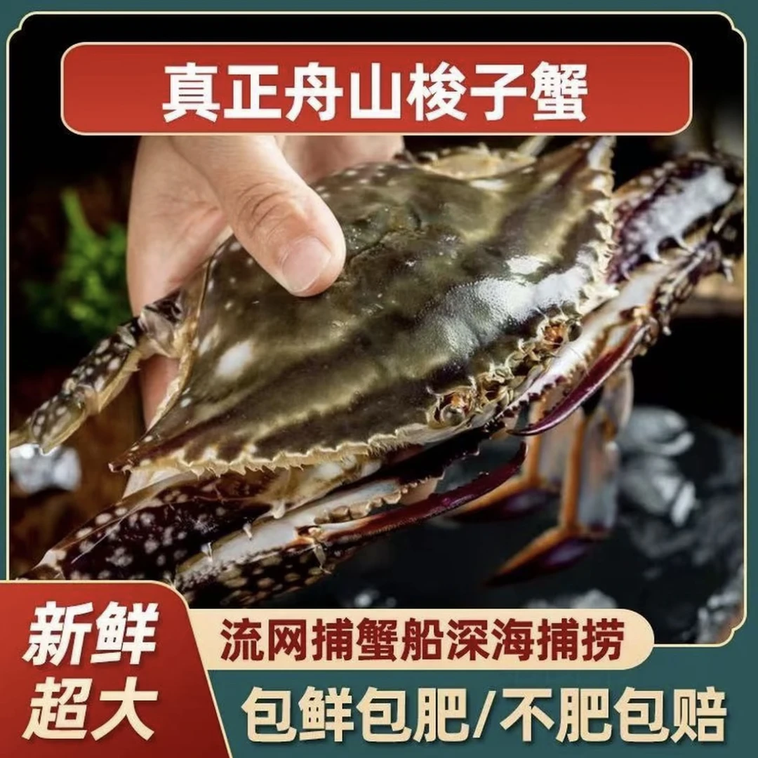 【保鲜不保活】舟山梭子蟹 净重3斤/箱 3-5两/只 到手6到8只 充氧活发梭子蟹同城