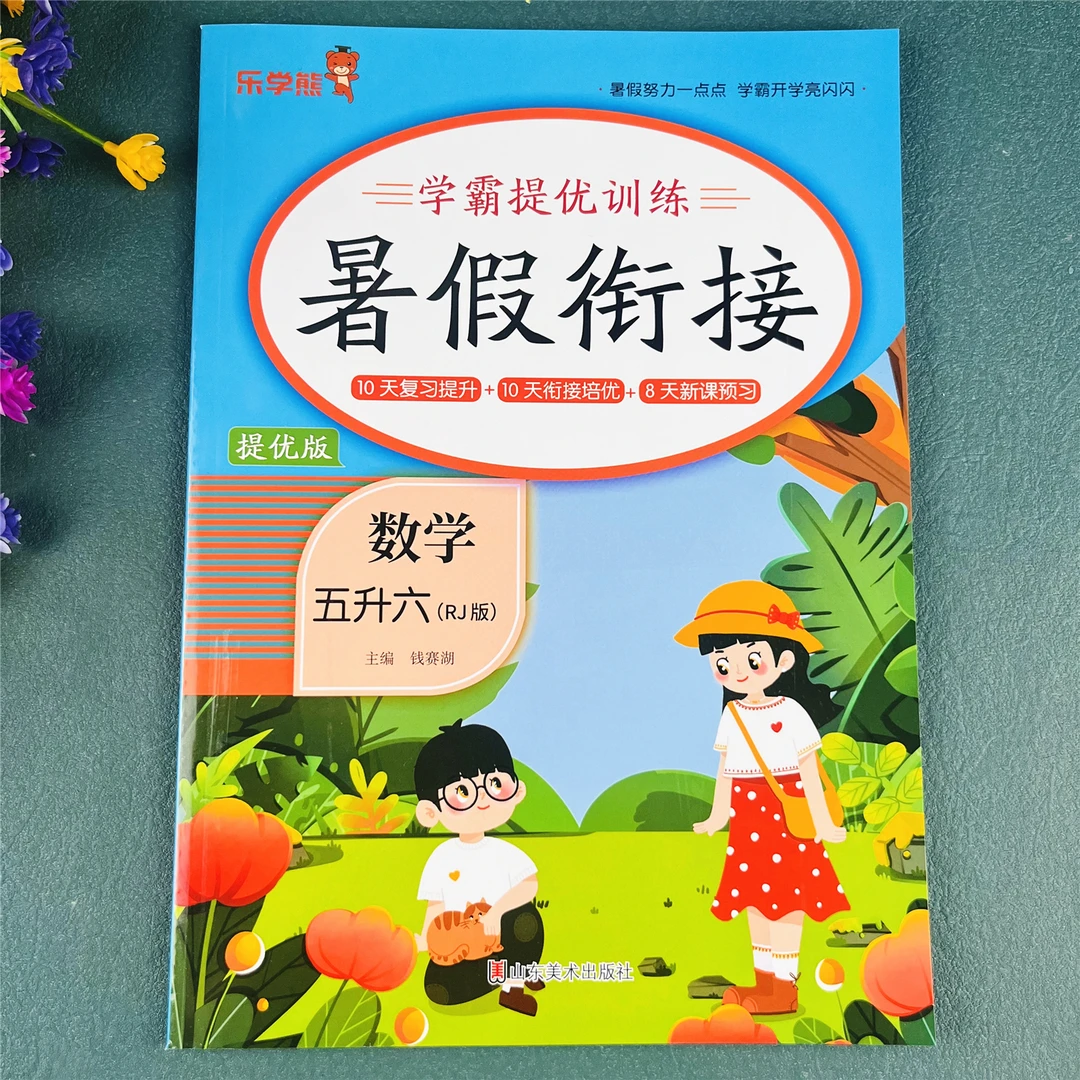 五升六数学暑假作业暑假练习册暑假必刷题五年级数学暑假衔接训练
