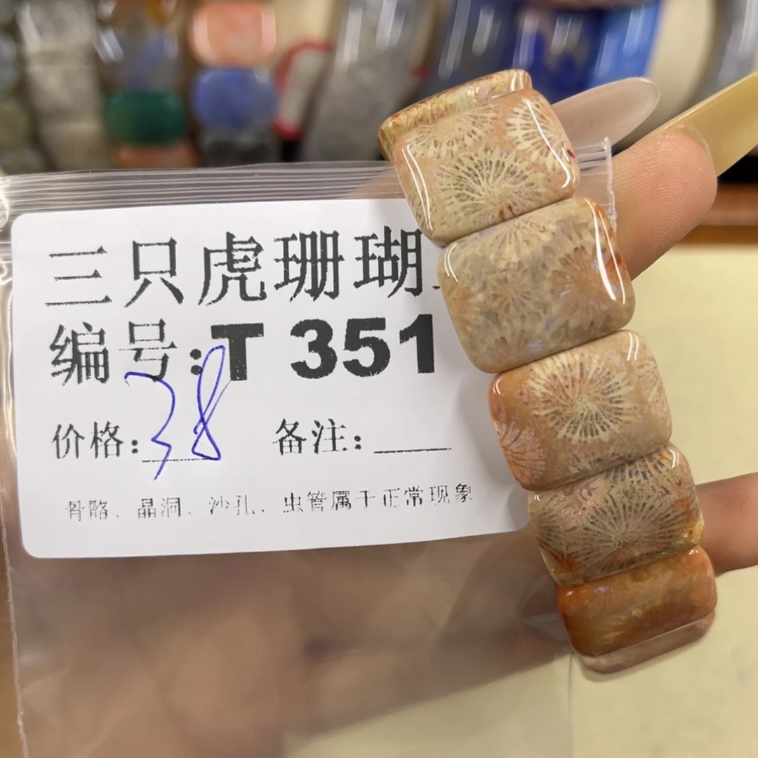万***帝硅化珊瑚（珊瑚玉）h未镶嵌