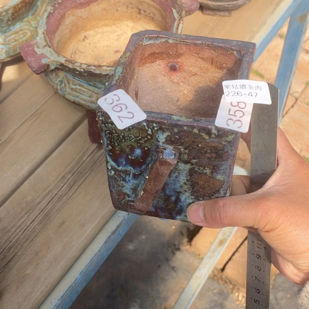 红陶浪*47号多肉盆一个呀
