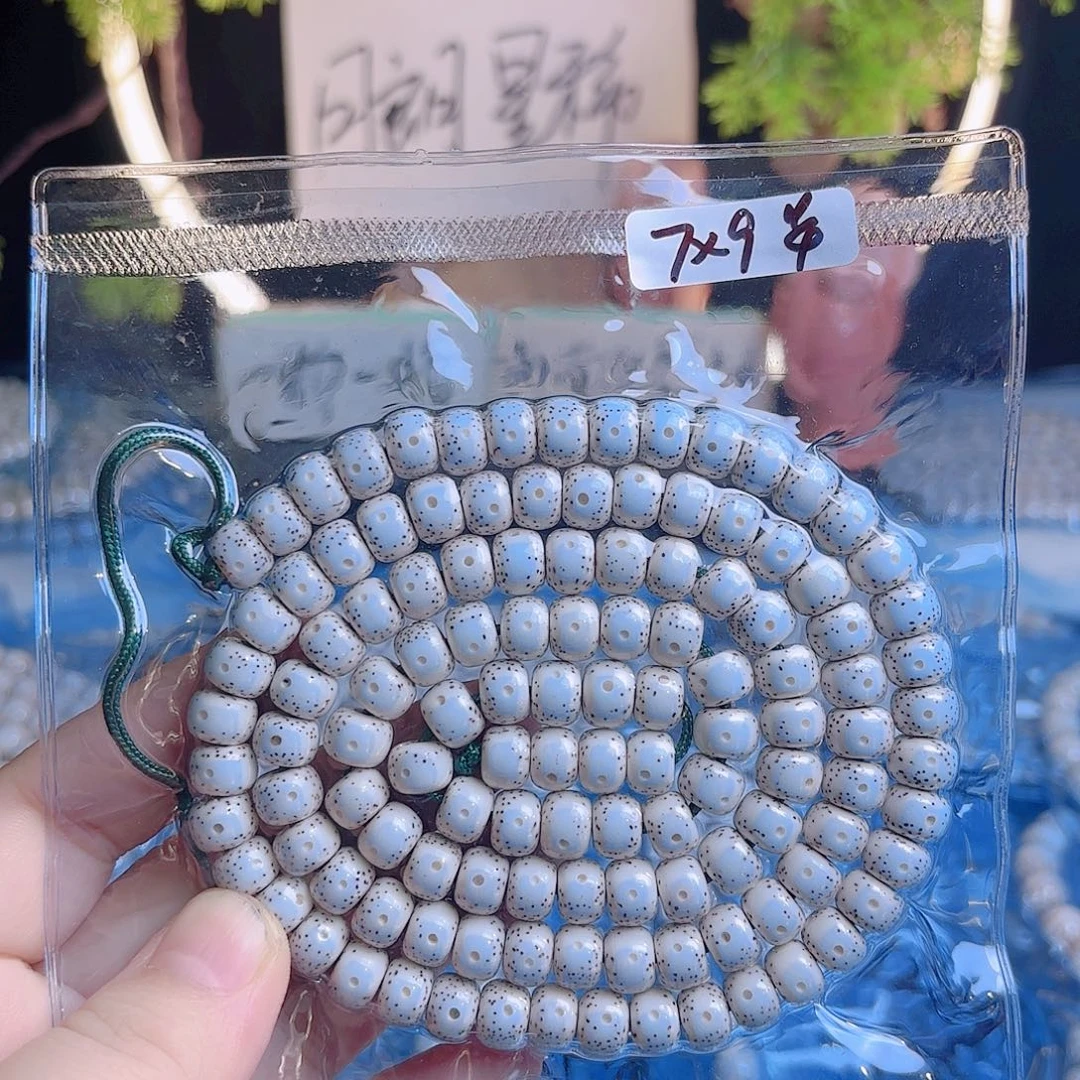 吊坠菩提根/象牙果