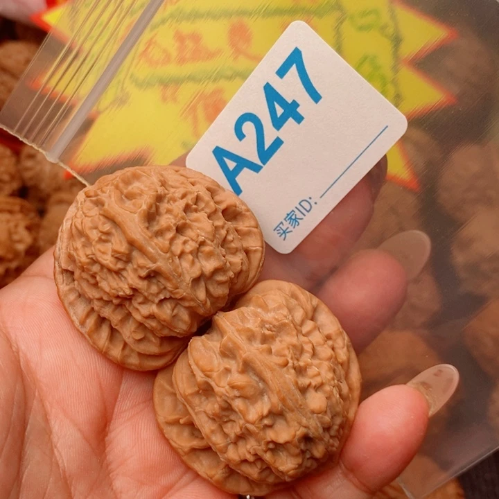 白狮子41尺247号123