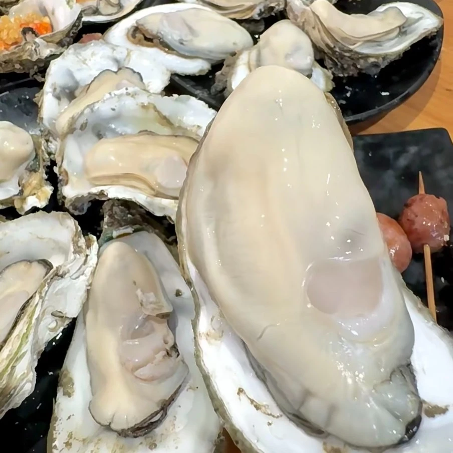 （买5斤送5斤）巨无霸生蚝