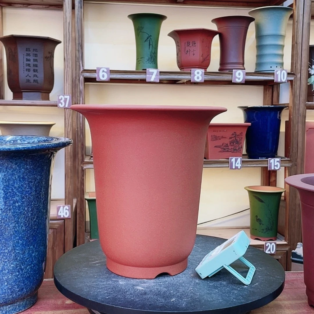 【闪购商品】紫砂花盆兰花55688556988866