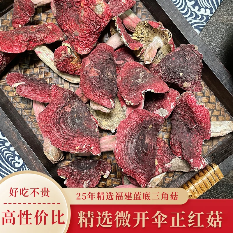 福建三角红菇（微开伞红菇）干货新货福建正宗三角大红菇月子菇蘑菇