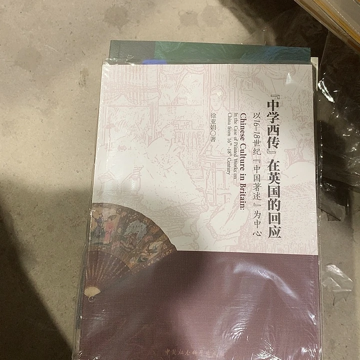 超***子中学西传在英国的回应