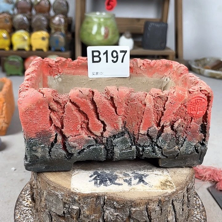 紫砂花盆开播福利 陶瓷花盆