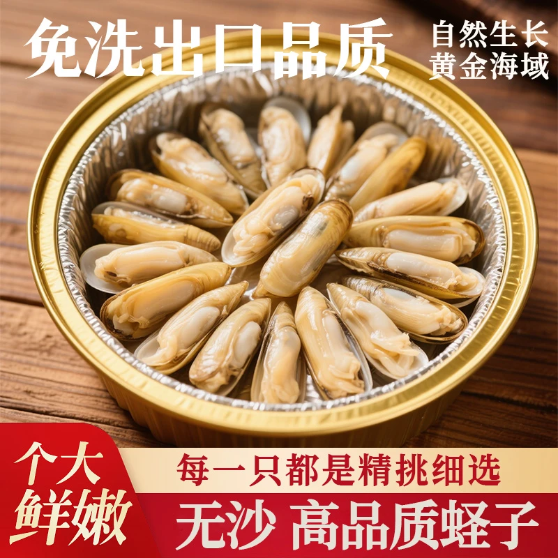 高品质速冻蛏王肉大个冷冻蛏子肉海鲜水产鲜活蛏王肉竹蛏肉蛏贝类