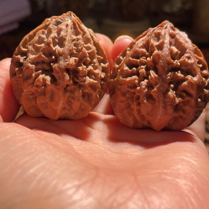 吊坠文玩核桃X**o蚂蚁八棱12