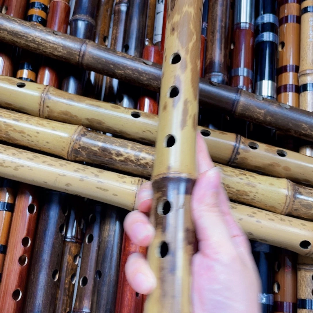 紫竹花斑竹紫竹大a大降b